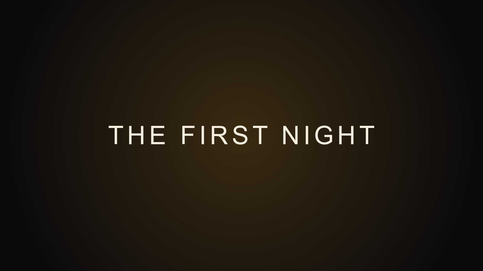 THE FIRST NIGHT